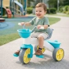 2614 New Trıycle
