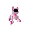 Kedi 6602 Kumandalı Robot Kedi