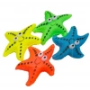 Köpekler İçin Denizyıldızı Figürlü Çiğneme Oyuncağı