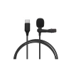 Type-c 2 Metre Double Mikrofon - Siyah
