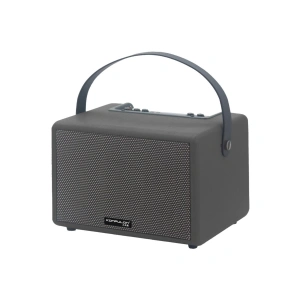 F31 50w Sürücülü 2 Adet Mikrofonlu Bt 5.2 Kablosuz Hoparlör - Siyah