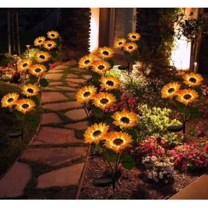 Solar Çiçek 2’li Paket