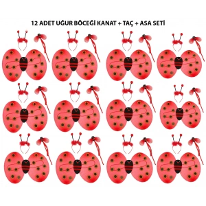 Uğur Böceği Kostüm Seti - Kanat, Taç, Asa 12 Adet