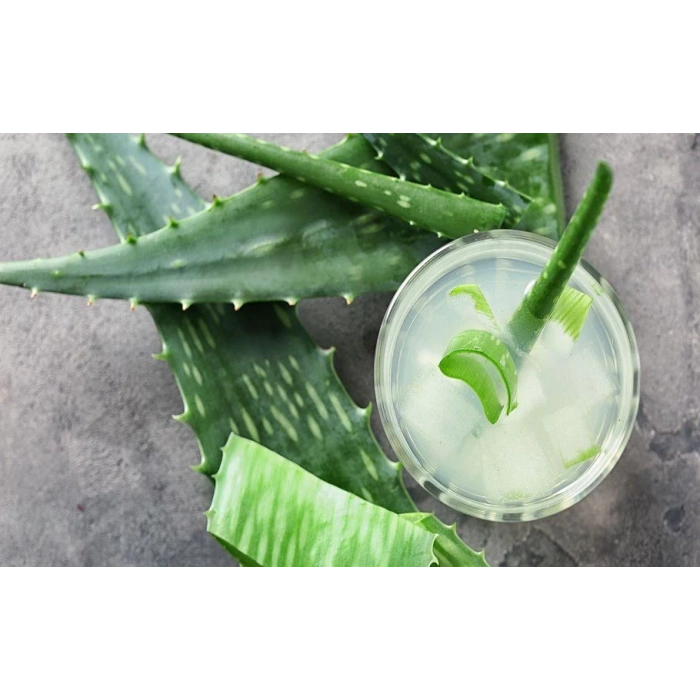 Manisa Birlik Aloe Vera Suyu 400 ML Konsantre 2Li Set