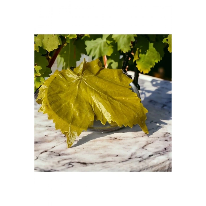 Salamura Yaprak (Asma Yaprağı) 5 lik Bidon