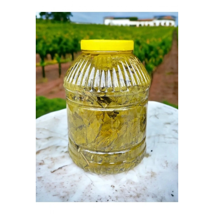 Salamura Yaprak (Asma Yaprağı) 5 lik Bidon