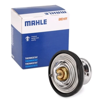 TERMOSTAT W124 M601
