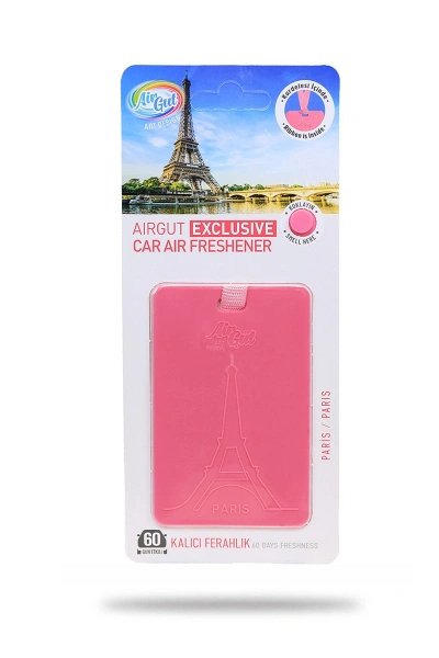 Araç Kokusu - Paris