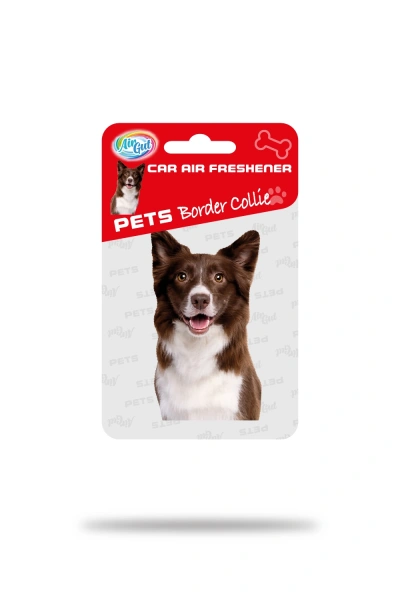 Araç Kokusu - Border Collie