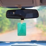 Araç Kokusu - İstanbul