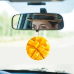 Araç Kokusu - Mango