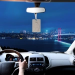 Araç Kokusu - Nardo Gri