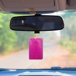 Araç Kokusu - Paris