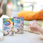 Koku Yastığı - Lavanta