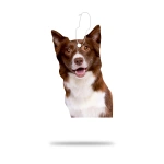 Araç Kokusu - Border Collie