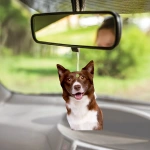 Araç Kokusu - Border Collie