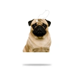 Araç Kokusu - Pug