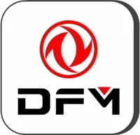 DFM