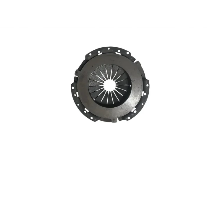 GAZELLE DEBRAJ BASKISI