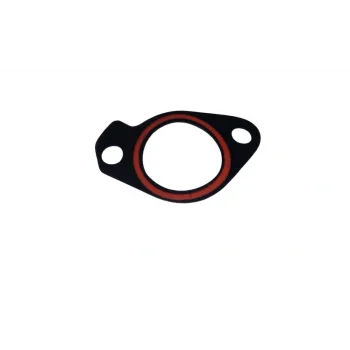 ck echo conta devirdaim orjınal