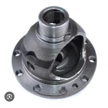 CK Echo MK Familia Diferansiyel İstavroz Kutusu