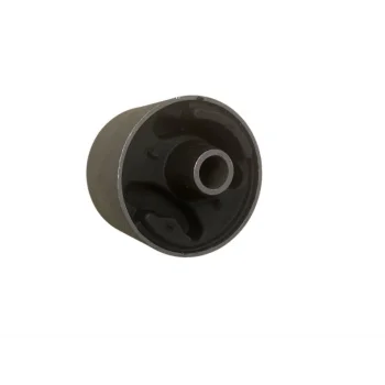 DFM 1.1   SANZUMAN TAKOZU