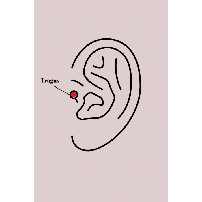 316L Çelik Gümüş Renk Zirkon Taşlı Çiçek Tragus Piercing