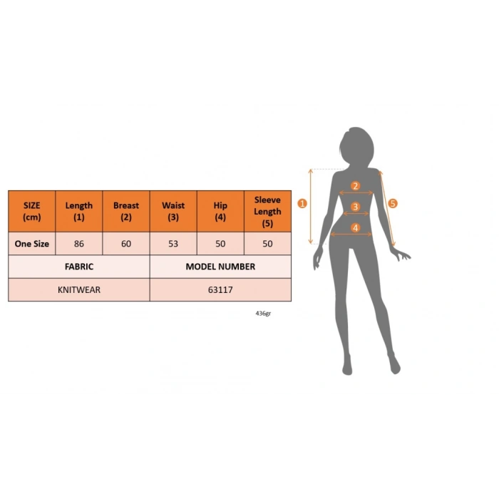 Kadın Uzun Kollu Bisiklet Yaka Desenli Triko Elbise