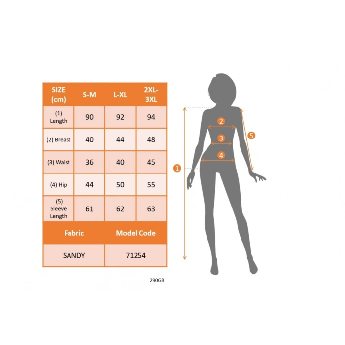 Kadın Uzun Kollu Degaje Yaka Leopar Detaylı Cepli Kısa Sandy Elbise
