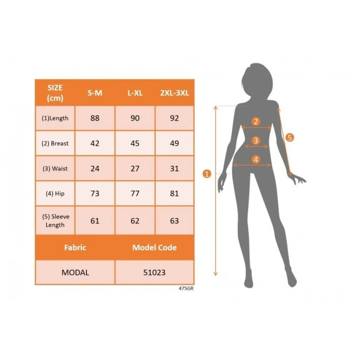 Kadın Uzun Kollu Yarı Balıkçı Yaka Leopar Desenli Modal Mini Elbise