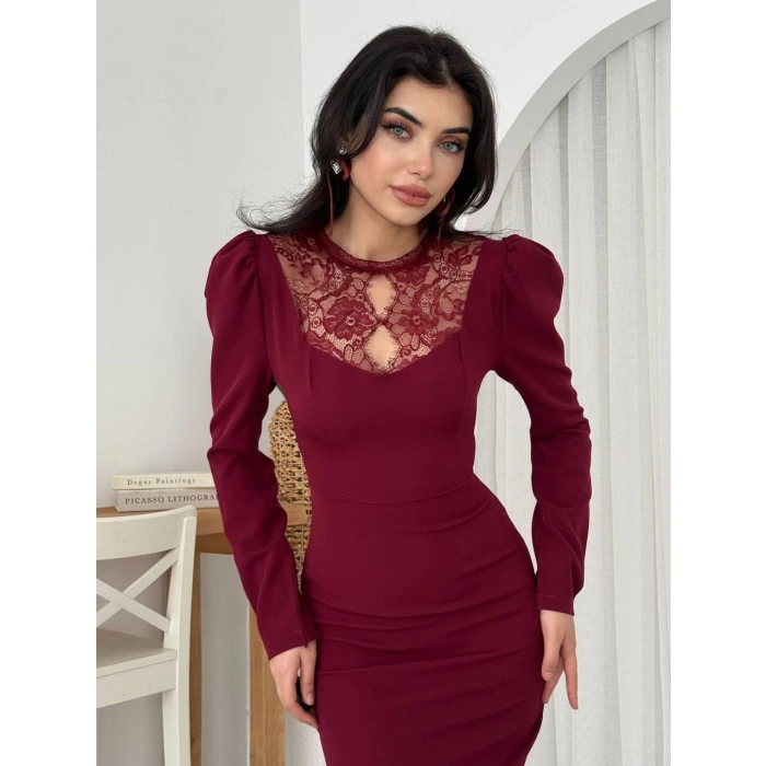 Port Dantel Detay Elbise