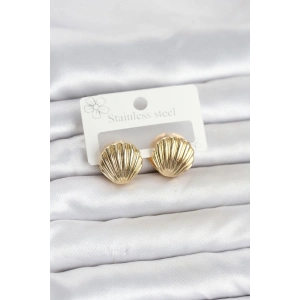 316L Çelik Gold Renk Deniz Kabuğu Model Kadın Küpe