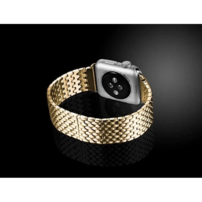 Ally Apple Watch 7-8 45mm 6-5-4 44mm Kayış Kordon Dragon Paslanmaz Çelik 3-2-1 42mm-(5775)