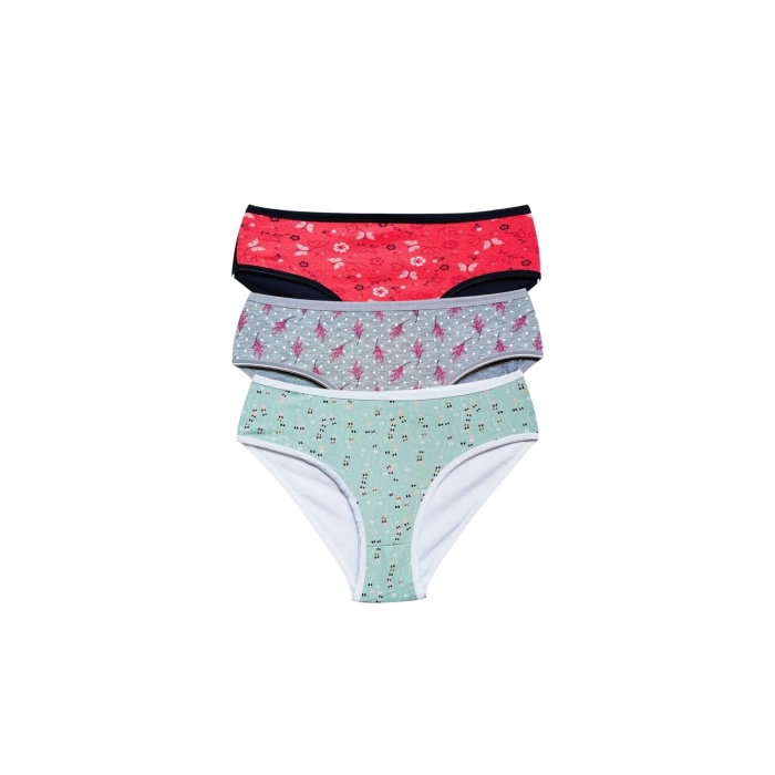 Pamuklu Geniş Kenarlı Likralı Desenli Bato Kadın Külot 3lü Paket Set1