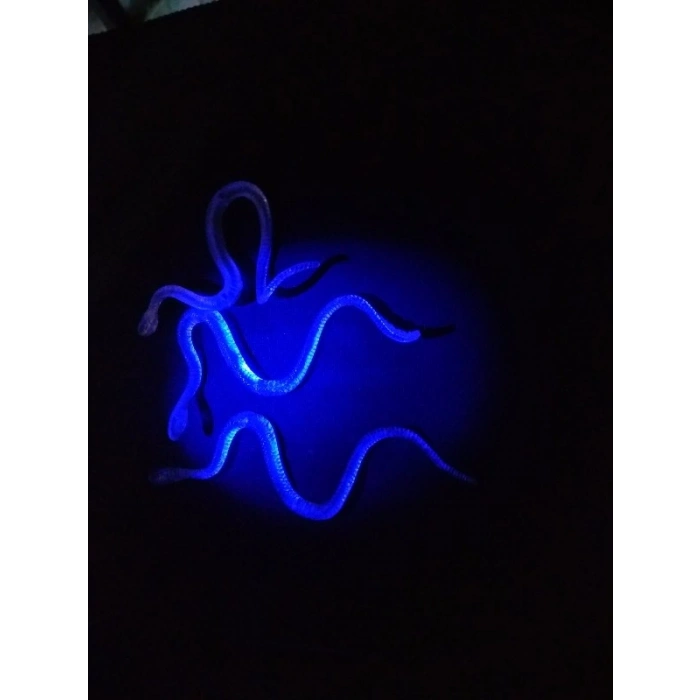 Şaka Yılan ve Kırkayak Karışık 36 Adet (4767)