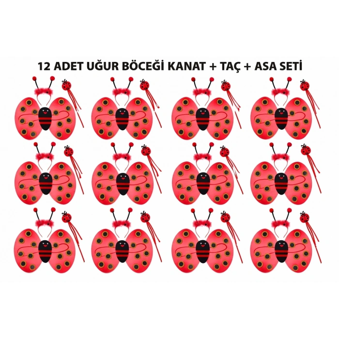 Uğur Böceği Kostüm Seti - Kanat Taç Asa 3 Parça 12 Adet