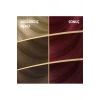Naturals Saç Boyası Kızıl Viyole 4/6