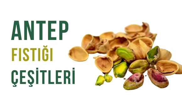Antep Fıstığı