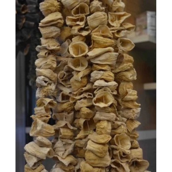 Dolmalık Kabak Kurusu