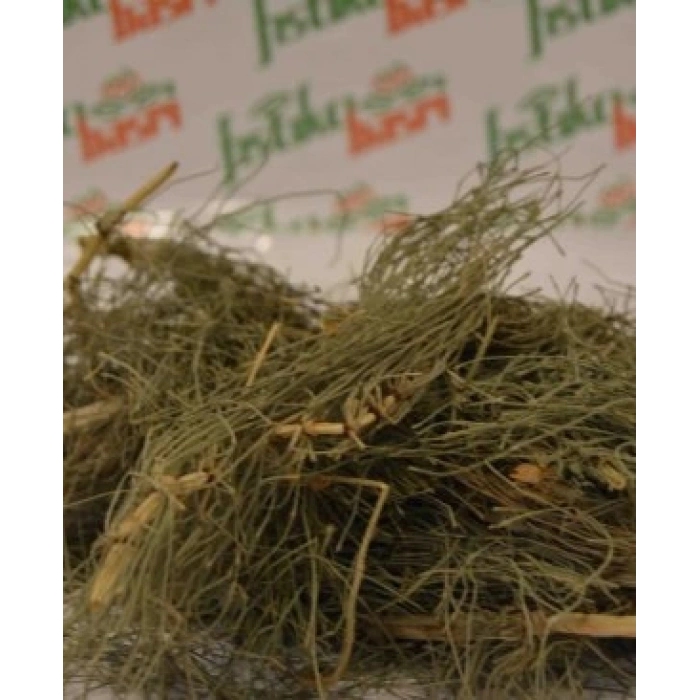 kırkkilit otu-At Kuyruğu