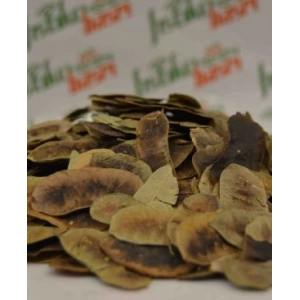 Deve Gözü-Açlık Otu