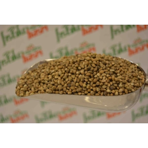 Kendir Tohumu(Çiğ)