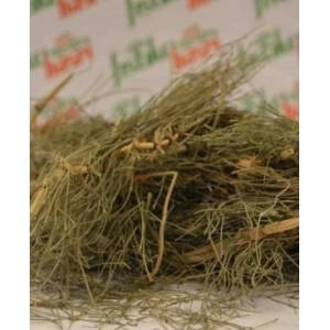 kırkkilit otu-At Kuyruğu