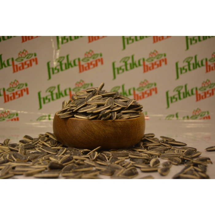 Dakota Çekirdek ( Tuzlu )