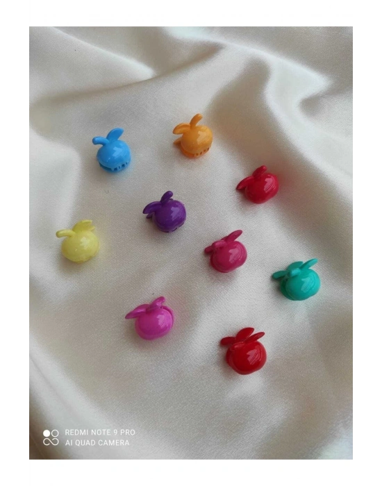 Lily 6 Adet Parlak Formda Elma Mandal Toka