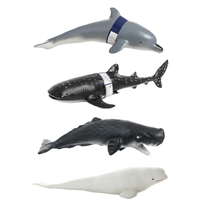 ASYA A8155-BS007 KT. DENİZ HAYVANLARI 12 ASST. (144)