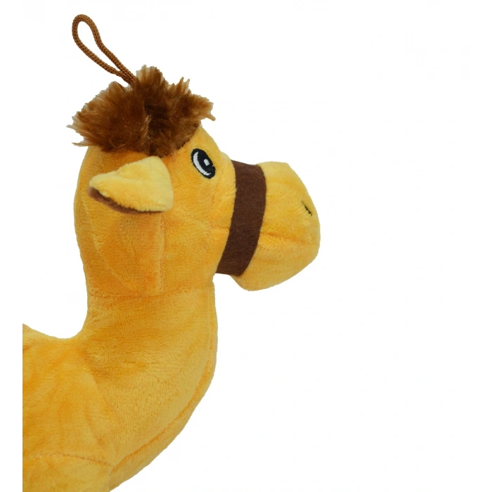 ERZİ 10092 DUA OKUYAN DEVE (94)