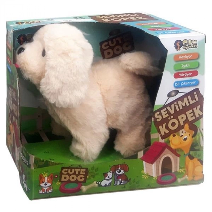 CAN 1151-5167 KUTUDA PİLLİ SEVİMLİ KÖPEK (18)