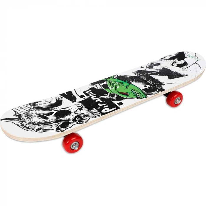 CAN 2406 KAY KAY ORTA (6)