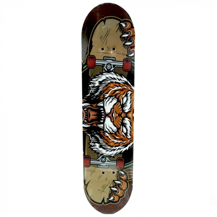 CAN 3108 RENKLİ TEKER KAYKAY (6)